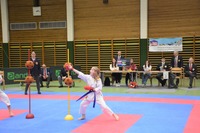 Landesmeisterschaft 2026